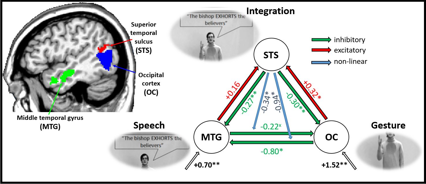 Multisensory integration – Translational Neuroimaging Marburg